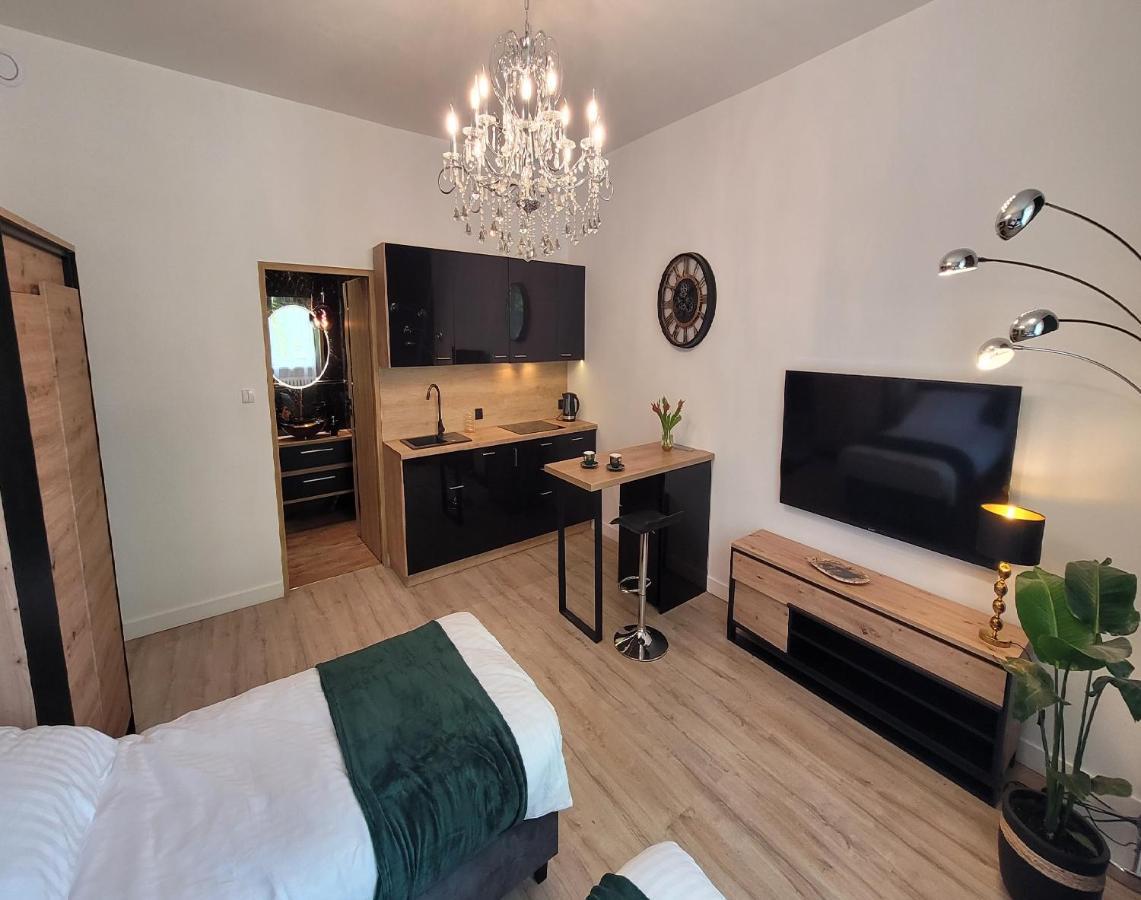 Good Day Apartment Centrum קטוביץ מראה חיצוני תמונה