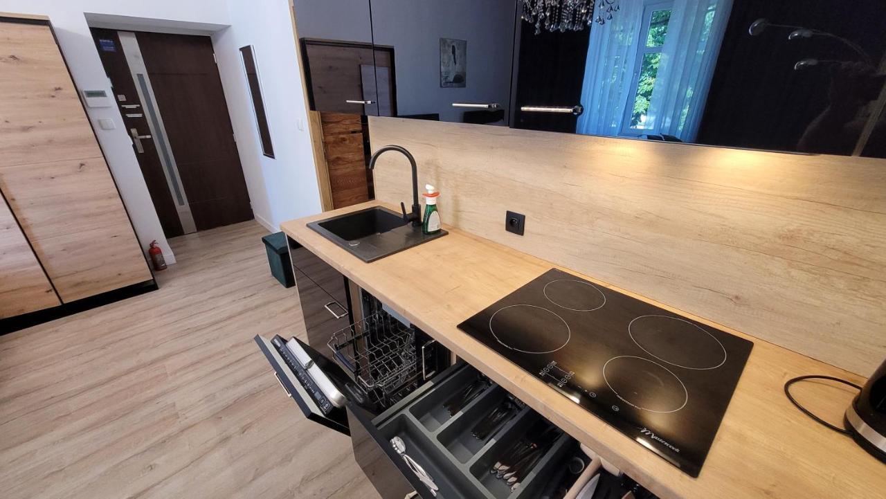 Good Day Apartment Centrum קטוביץ מראה חיצוני תמונה